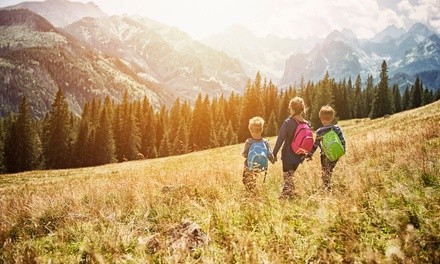 Hiking, Geology, or Rock Collecting Guided Tour for One, Two, or Four from Beehive Adventures (Up to 37% Off)