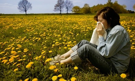 Allergy-Symptom Assessment and Treatment for a Child, Senior, or an Adult at Casad Chiropractic in Petaluma (61% Off)