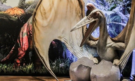 Admission for One Adult or Combo Admission Pass for One Child to Pangaea Land of the Dinosaurs (Up to 5% Off)