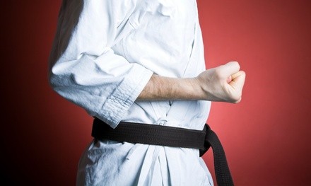 $48 for $160 Worth of Martial-Arts Lessons — Eagle Talon Martial Arts