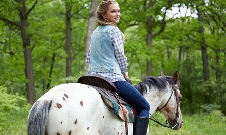 Horseback Ride or Horseback Ride with Intro Lesson for One or Two (Up to 50% Off)