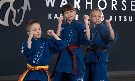 Birthday Party for Up to 10 Guests  at Warhorse Karate Jiu Jitsu (Up to 63% Off)