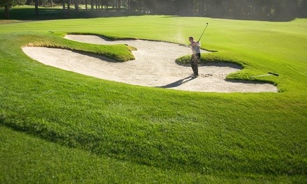 Play All Day Golf with Cart for Two or Four at Roland Barkau Memorial Golf Course (Up to 27% Off)
