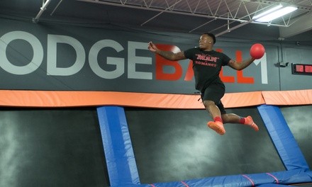 90- or 120-Minute Jump Passes, or Fun Party Package at Sky Zone - Fairview Heights (Up to 43% Off) 