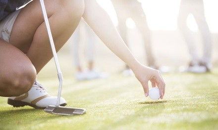 9- or 18-Hole Round of Golf at Country Drive Golf Course (Up to 46% Off). Six Options Available. 