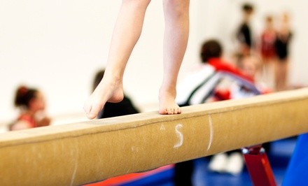 1 Month of Gymnastic Classes for Ages Walking to 6 Years or Ages 6 and Up at Gym Skills (Up to 50% Off) 