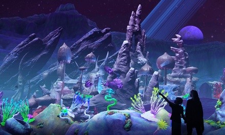 Admission for One Adult or Child to Nocturne X (Up to 20% Off). Four Options Available.