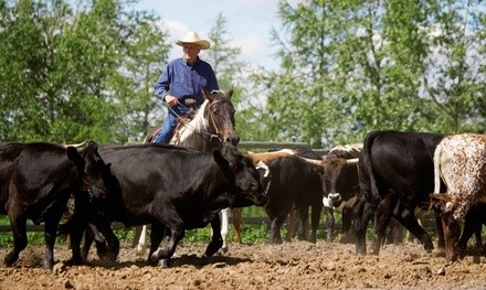 Admission for One, Two, or Four to George Ranch Historical Park (Up to 41% Off)