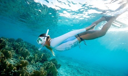 Up to 42% Off on Snorkeling at Paradise Adventure Tours