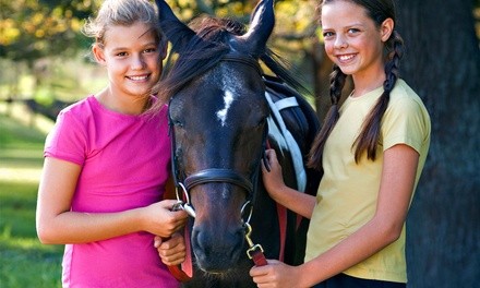 Up to 57% Off on Horse Back Riding at Secret Springs Equestrian Llc