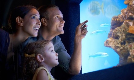 Up to 25% Off on Aquarium Visit at Seaquest Interactive Aquarium Folsom