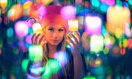 General Admission for One to MAX (Multimedia Art Expo) (Up to 38% Off). Two Options Available.
