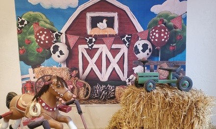 Up to 25% Off on Children's Party Performer at Aunt B's Barn