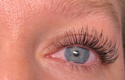 Up to 50% Off on Eyebrow Extensions at Lash lash mama