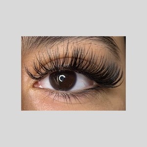 Up to 50% Off on Eyelash Extensions at Luz Beauty