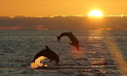 Up to 20% Off on Boat Tour at Million Lights Boat Tour St. Augustine