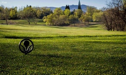 $39.50 for 18-Hole Round of Golf for One Including Cart Rental at Washoe Golf Course ($52 Value)