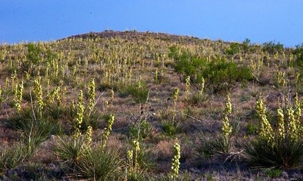 One-Year Membership for Two People or One Family at Wildcat Bluff Nature Center (Up to 57% Off)