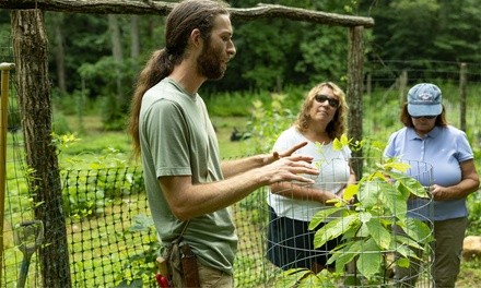 Useful Plant Walk or Herbal U-Pick Walk at Ever Wilder Farm (Up to 45% Off). Three Options Available.