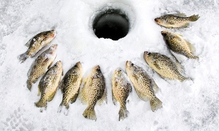 Six-Hour Fishing-Cabin Rental from Wet N Wild Outfitters (Up to 30% Off). Two Options Available.