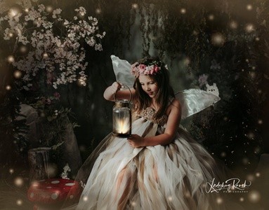 In-Studio Fairy Photo Shoot for Up to Three Children at Ladybug Ranch (Up to 45% Off)