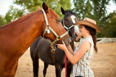 Up to 37% Off on Horse Back Riding at EquiAura Stables