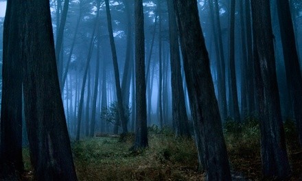 Guided Tour for One Child or Adult at Stuart Haunts and History Ghost Tours (Up to 41% Off)
