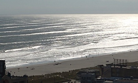 Up to 74% Off on Notary Services at Notary On The Beach