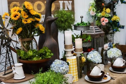 Des Moines Home + Garden Show, February 24-27, 2022