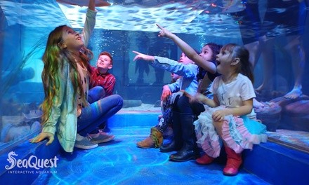 Up to 40% Off on Aquarium Visit at Seaquest Interactive Aquarium and Petting Zoo - Lynchburg, VA
