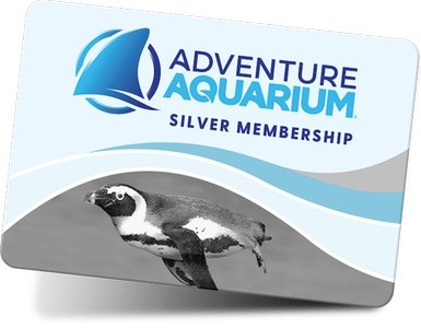 One-Year Adult or Child Silver Membership to Adventure Aquarium (Up to 17% Off)