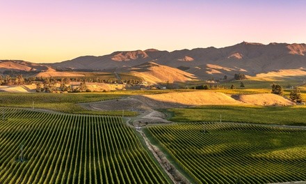 Hike and Wine in Virginia Vineyard Tour for One from Wine Excursions (Up to 35% Off). 10 Options Available.