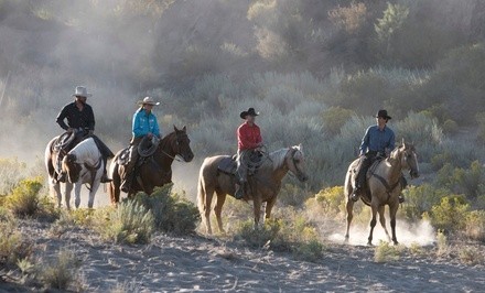 Up to 35% Off on Horse Back Riding - Training at Catskill Equestrian Center