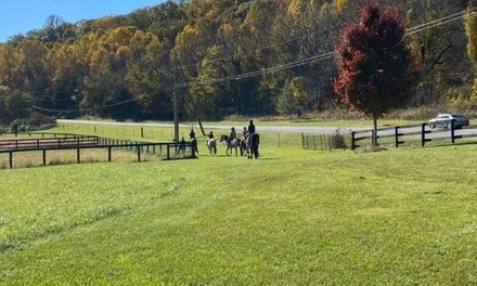 Horseback Ride for One, Two, or Four at The Stables at Wulf Crest Farm (Up to 25% Off)