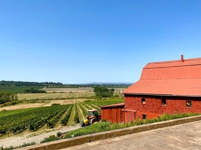 Up to 50% Off on Wine Tasting / Flight at Rizzo Winery