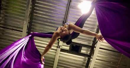 Up to 38% Off on Aerial Fitness at Fit to Fly LLC