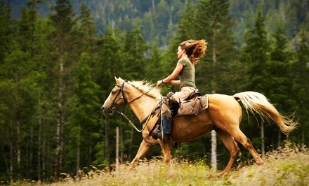 Up to 20% Off on Horse Back Riding - Recreational at Bryant Manor Equestrian Center