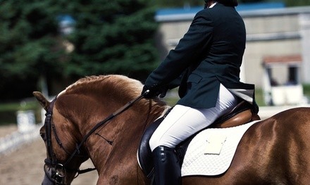 Two or Four Private Horseback-Riding Lessons from Different Times Equestrian Ventures (Up to 45%Off)