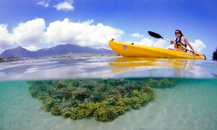 Half- or Full-Day Single or Tandem Kayak Rental at Kama’aina Kayak and Snorkel Eco-Ventures (Up to 22% Off)