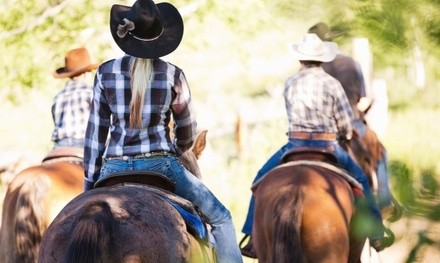 Pony Ride or Private or Public Trail Ride at Saluti Equestrian Center (Up to 25% Off). 11 Options Available.