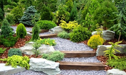 Up to 10% Off on Gardener at Campos landscaping