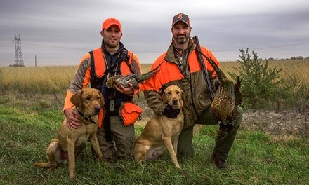 National Pheasant Fest & Quail Classic on March 11–13