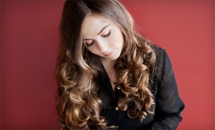 Haircut and Style with Full Color or Partial Highlights at Salon Debonaire (Up to 51% Off)