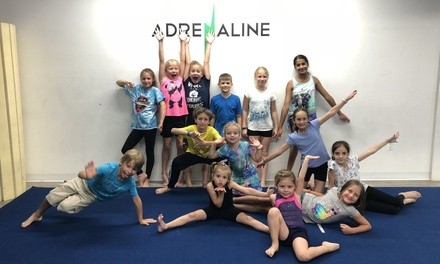 $224 for One Week of Full-Day Summer Camp for One Child at Adrenaline Dance Studio ($299 Value)