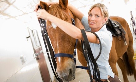 60-Minute Indoor Horseback-Riding Lesson for Two or Four at Green Acres Ranch (Up to 49% Off)