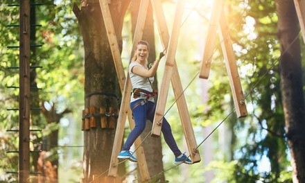 $59.99 for 60-Minute Aerial Challenge Course for Two at Coral Crater Adventure Park ($119.98 Value)