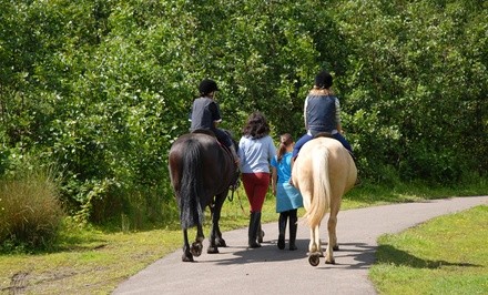 Up to 44% Off on Horse Back Riding at Rancho Verde