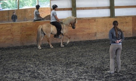 Horseback Riding Lesson for One or Two at Alfadans Equestrian Arts (Up to 30% Off). Three Options Available.