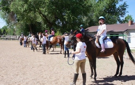 Up to 58% Off on Horse Back Riding at Denver Equestrians