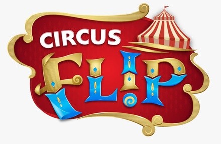 Flip Circus